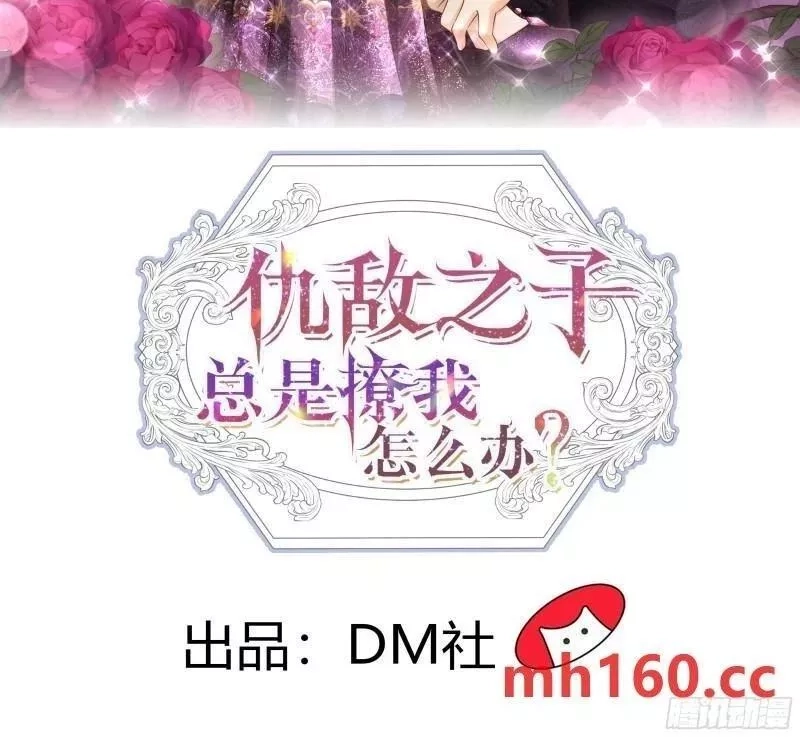 仇敌之子总是撩我怎么办？,48 侍卫长的情人,第2张